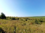 Ранчо (г. Хмельницкий, Лісові Гринівці) - Продається сільськогосподарська ділянка, 5500 $ - АФНУ