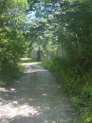 Єлисейська (с. Гвоздов, Васильковский район) - Продається ділянка під забудову, 36200 $ - АФНУ