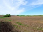 ул. Східна (с. Лесовые Гриновцы, Хмельницкий район) - Продається сільськогосподарська ділянка, 6000 $ - АФНУ