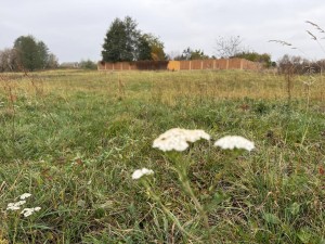 вул.Ярослава Мудрого, 88-а (с. Михайловка-Рубежовка, Киево-Святошинский район) - Продається ділянка під забудову, 10500 $ - АФНУ