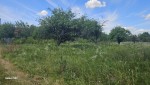 Топольова (с. Мотижин, Макаровский район) - Продається ділянка під забудову, 12500 $ - АФНУ