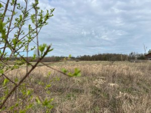 не призначена (пгт. Гостомель, г. Ирпень) - Продається сільськогосподарська ділянка, 23000 $ - АФНУ