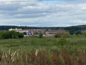не призначена (г. Ирпень, р-н Романівка) - Продається сільськогосподарська ділянка, 30000 $ - АФНУ