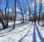 Блиставицька сільська рада (пгт. Гостомель, г. Ирпень) - Продається сільськогосподарська ділянка, 11000 $ - АФНУ