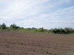ул. Східна (с. Лесовые Гриновцы, Хмельницкий район) - Продається сільськогосподарська ділянка, 6060 $ - АФНУ