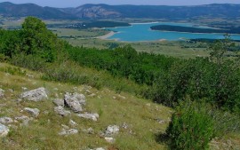 Консультация Элины Переверзевой